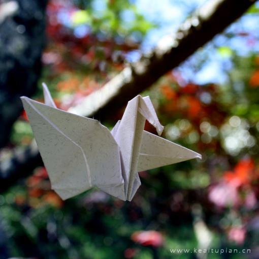 唯美用心折千纸鹤能给爱的人带来幸福与好运图片