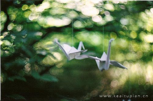 唯美用心折千纸鹤能给爱的人带来幸福与好运图片