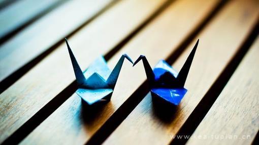 唯美每只千纸鹤都承载着我的愿望图片