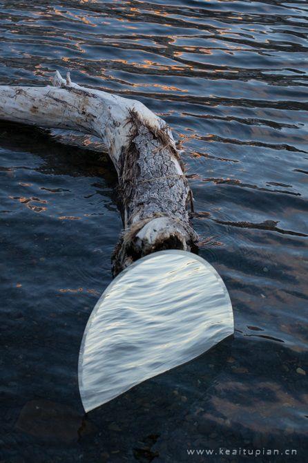 沙漠中镜子反射出了不一样的世界图片