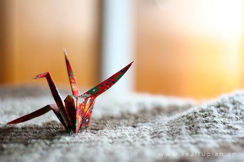 好看的的千纸鹤加强我对你的思念图片
