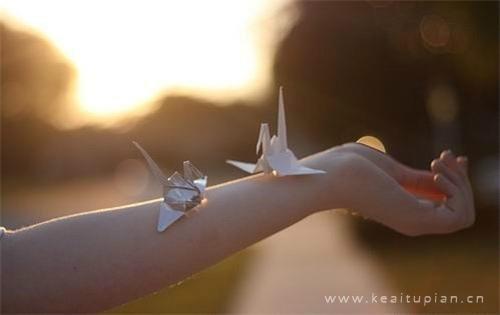 唯美手拉手心连心一起做千纸鹤图片