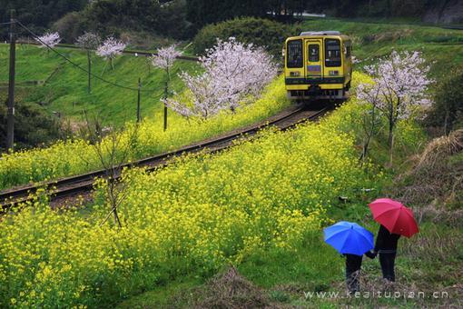 最新看着火车快速地驶过顿时心空荡荡的图片