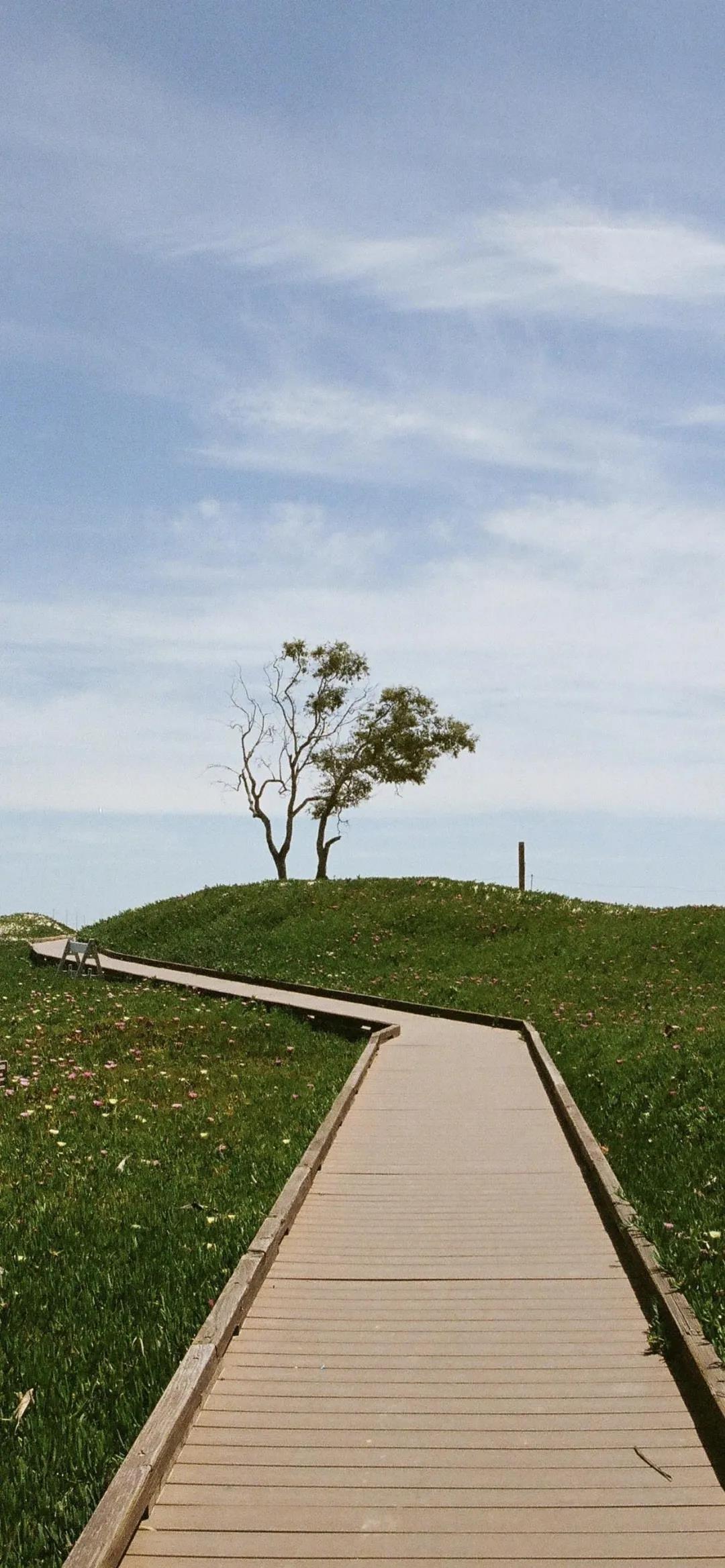 所谓深渊，走下去也是前程万里 唯美风景延伸的道路手机壁纸图片