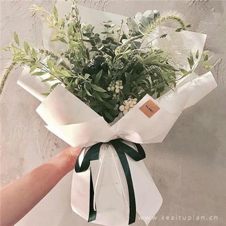 最新超好看的花束大全 小清新的花束朋友圈背景图图片
