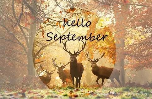 唯美你好九月小清新带字英文版 九月大全带字图片
