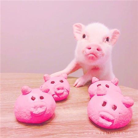 唯美简单高清大全 适合女生的微信朋友圈背景图图片