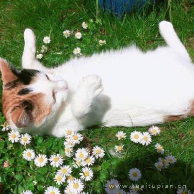 漂亮朋友圈背景风景高清 简单干净的风景大全图片