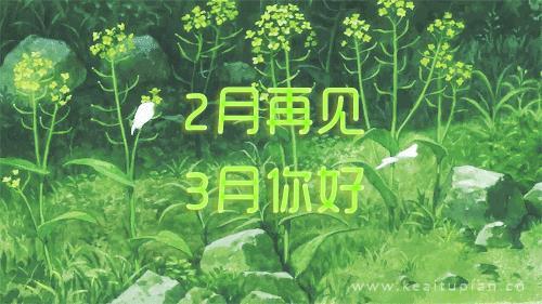 超好看二月再见三月你好带字 你好三月朋友圈大全图片