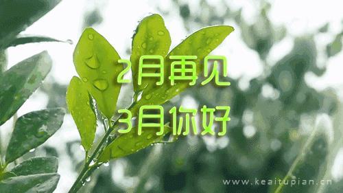 超好看二月再见三月你好带字 你好三月朋友圈大全图片