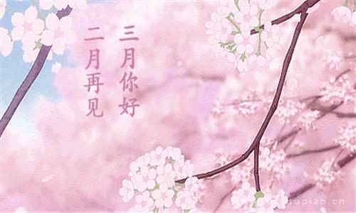 超好看二月再见三月你好带字 你好三月朋友圈大全图片