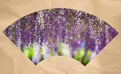 唯美春分节气大全好看 春分发微信朋友圈配图图片