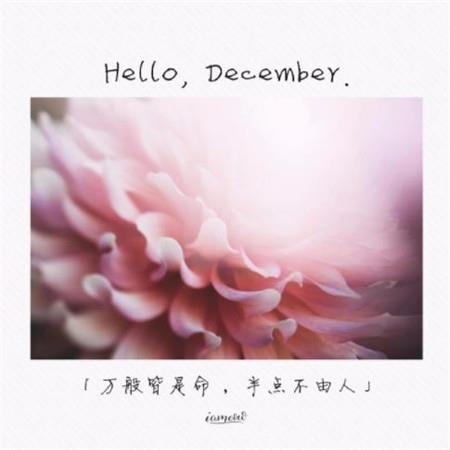 你好12月唯美高清桌面壁纸图片