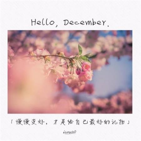 你好12月唯美高清桌面壁纸图片