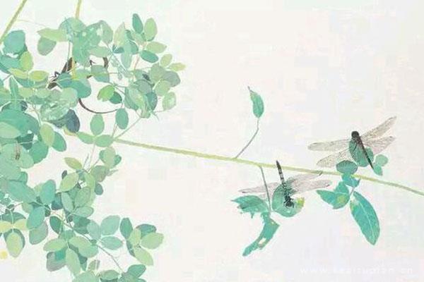 漂亮森系微信背景，简约森系背景图抖音微信通用图片