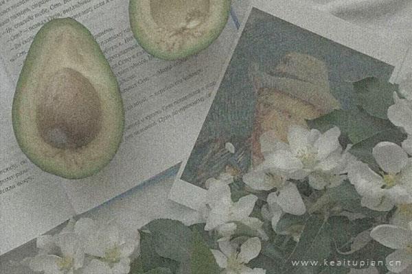 漂亮森系微信背景，简约森系背景图抖音微信通用图片