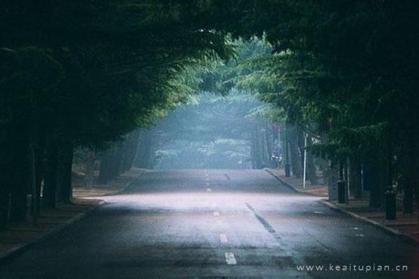 漂亮森系微信背景，简约森系背景图抖音微信通用图片