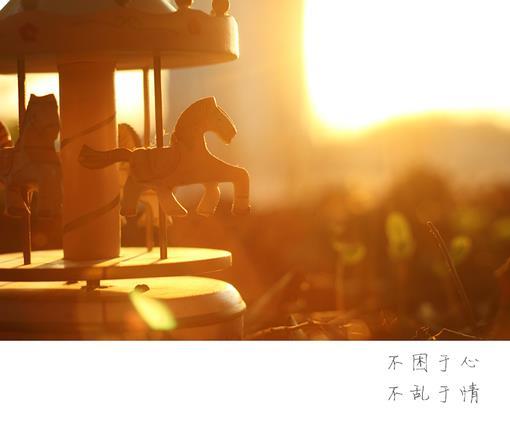 好看跟着旋转木马的节奏走进梦幻世界图片