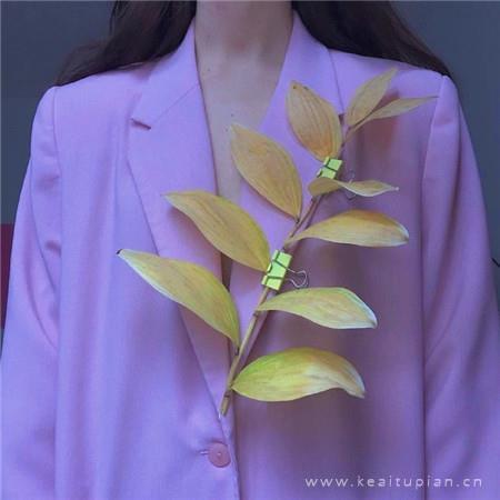 紫粉色唯美迷人高清手机壁纸图片