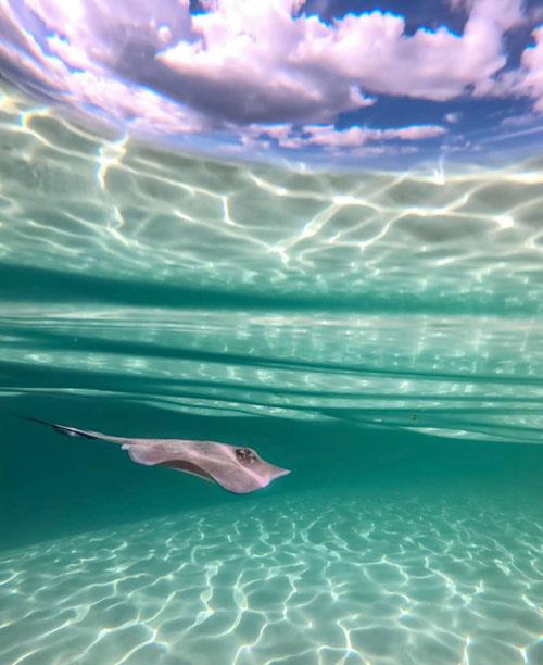 波澜起伏的碧绿海水唯美风景壁纸图片