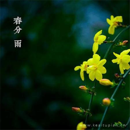 漂亮春分好看的风景大全带字 春分高清无水印图片