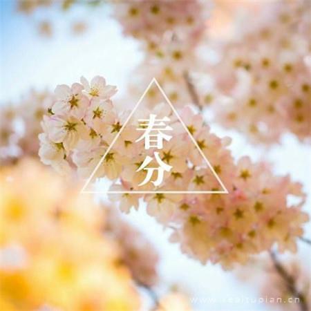 漂亮春分好看的风景大全带字 春分高清无水印图片