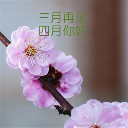 [热]三月再见四月你好大全带字 四月微信朋友圈配图图片