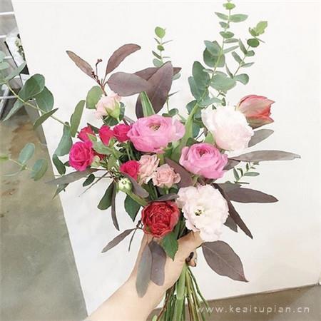 玫瑰花束大全真实 年520情人节玫瑰花背景图图片