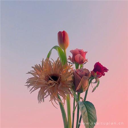 最美风景大全 带好运鲜花风景清新好看图片