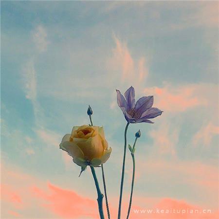 最美风景大全 带好运鲜花风景清新好看图片