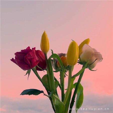 最美风景大全 带好运鲜花风景清新好看图片