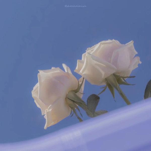 漂亮女人微信头像鲜花，适合做头像的鲜花九宫格图片