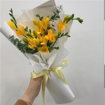 好看唯美的黄色花朵高清手机壁纸图片