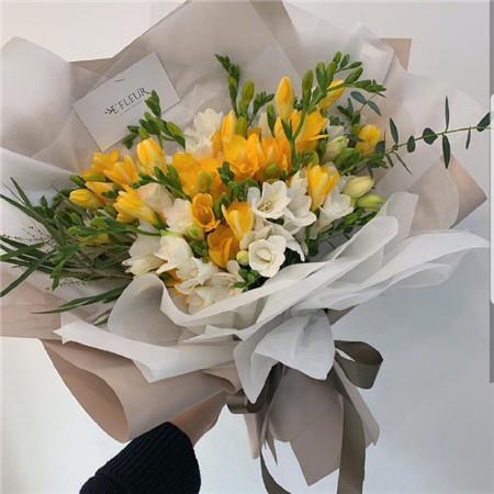 好看唯美的黄色花朵高清手机壁纸图片