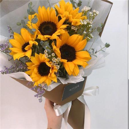 好看唯美的黄色花朵高清手机壁纸图片