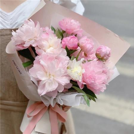 送给为我们辛苦操劳的妈妈唯美好看的鲜花图片