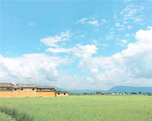 适合八月发的早安朋友圈说说唯美配图图片