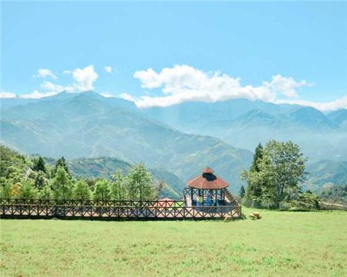 适合八月发的早安朋友圈说说唯美配图图片