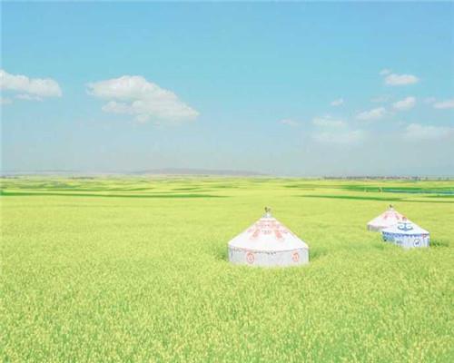 适合八月发的早安朋友圈说说唯美配图图片