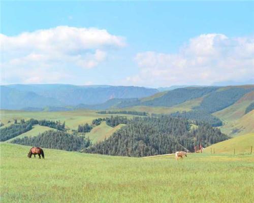 适合八月发的早安朋友圈说说唯美配图图片