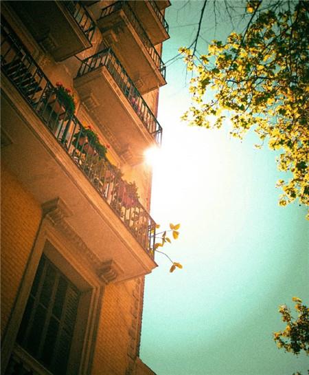 漂亮ins风超火背景图绿色 最新意境简约风图片