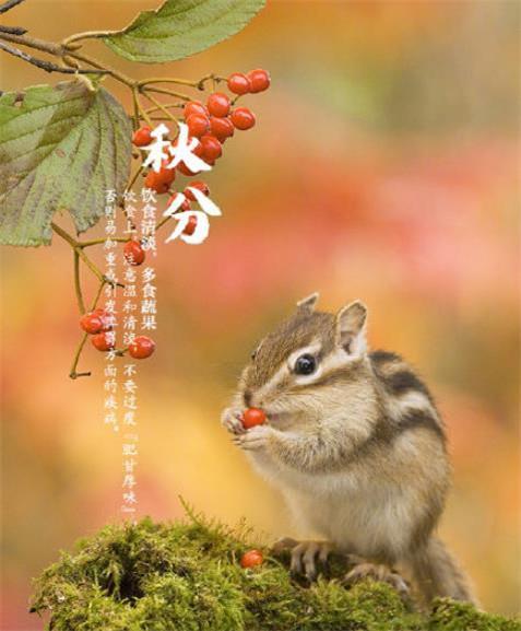 唯美金色秋分时节朋友圈图片配图