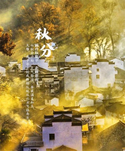 唯美金色秋分时节朋友圈图片配图