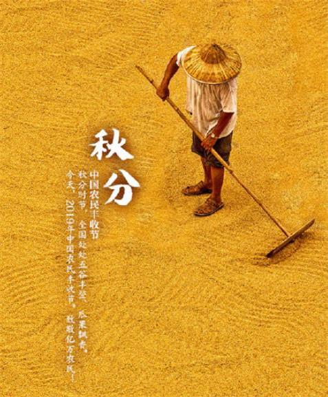 唯美金色秋分时节朋友圈图片配图