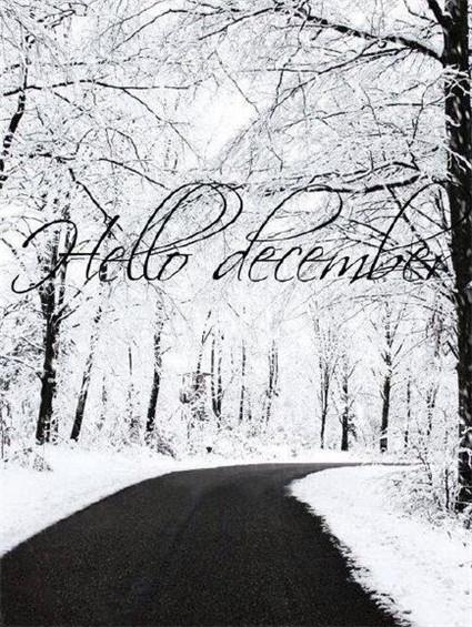 美丽十二月你好雪景大全 好看的雪景图片