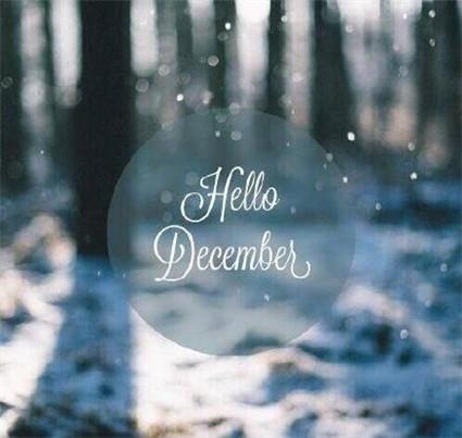 美丽十二月你好雪景大全 好看的雪景图片