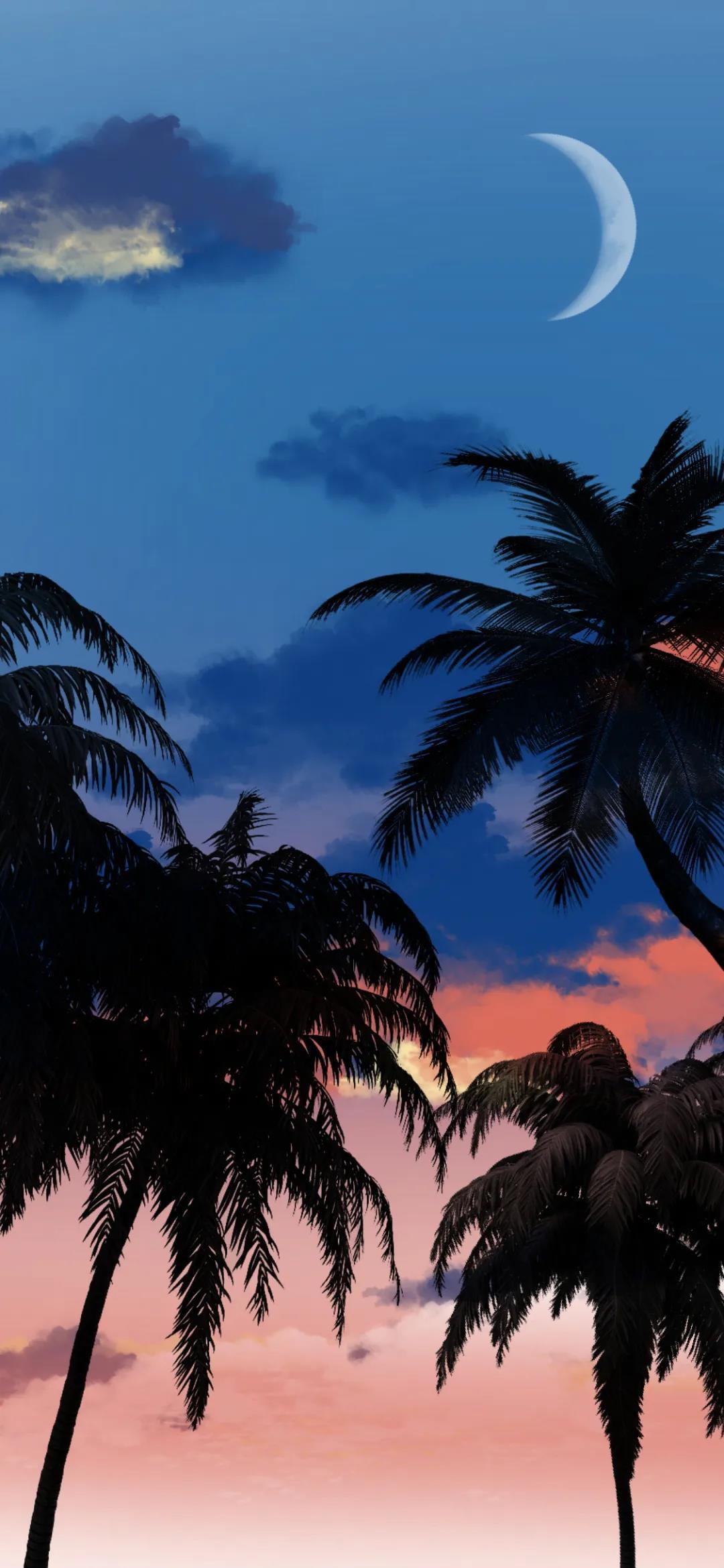 唯美天空下的椰子树手机壁纸图片