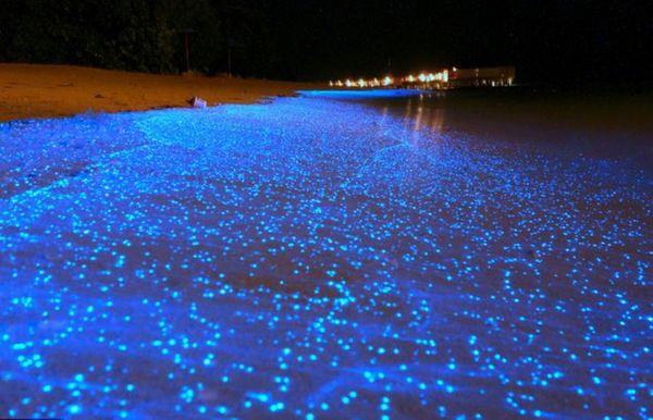 漂亮马尔代夫夜晚海边那么明亮图片