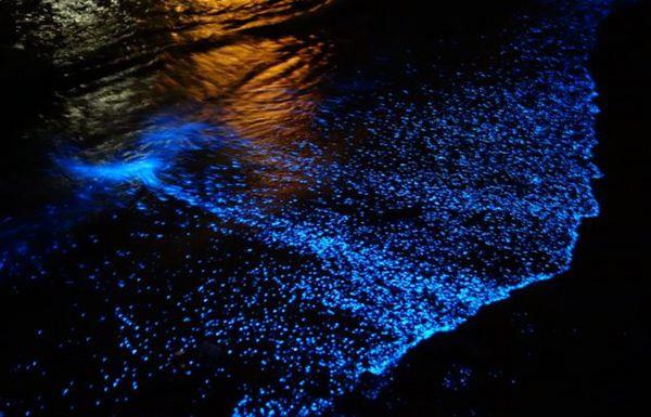 漂亮马尔代夫夜晚海边那么明亮图片