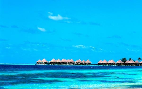 一起去马尔代夫看海看沙滩吧图片
